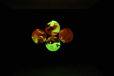 DSC_6234 (Large).JPG